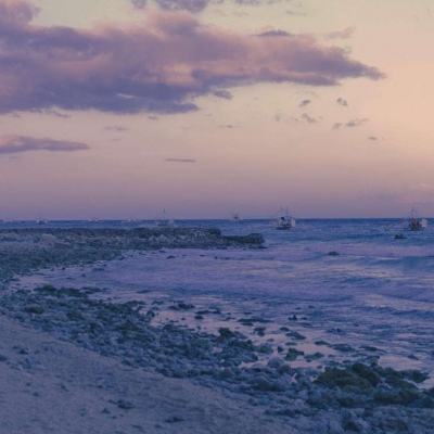 新万博ManBetX全站