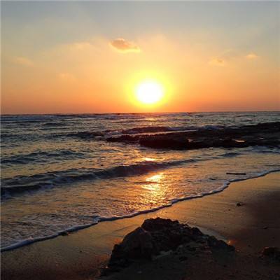 香港资料大全下载手机版