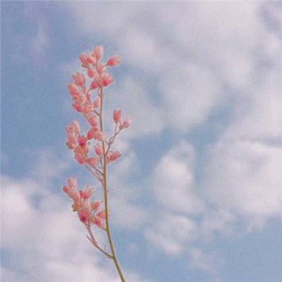 贝博app体育下载安装8499