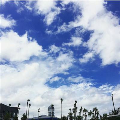 半岛bob综合登入app下载