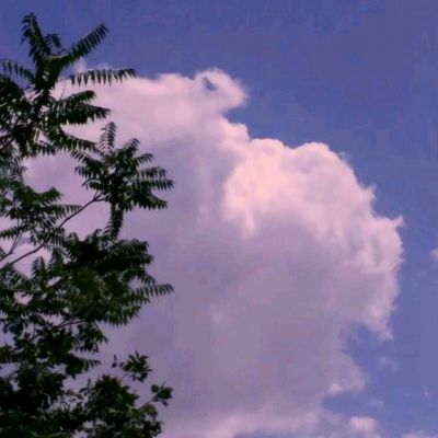 篮球体育彩票app